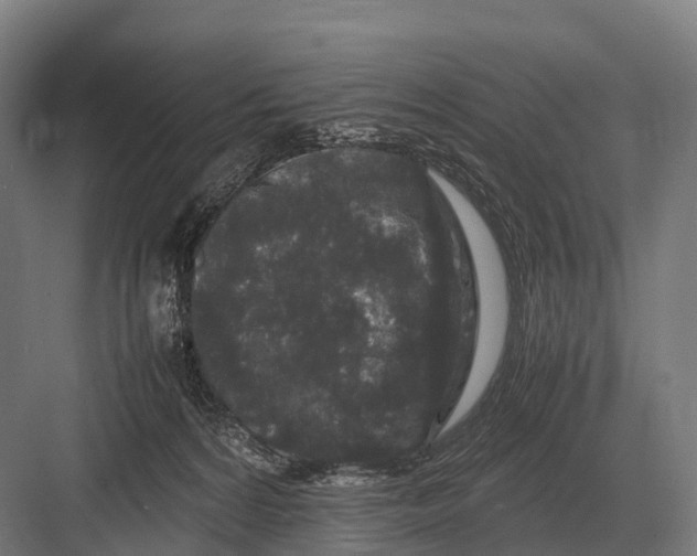 X0000082740224200702161941