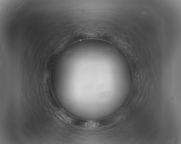 X0000082740225200702161941