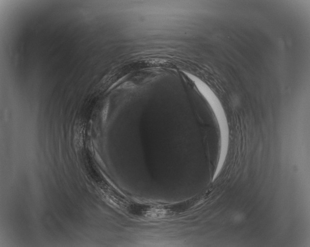 X0000082740227200702161941