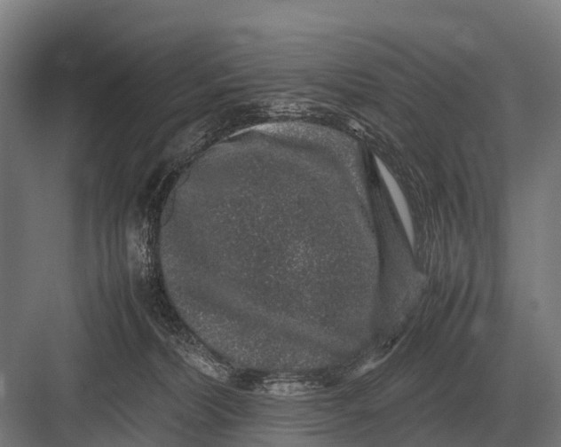 X0000082740228200702161941