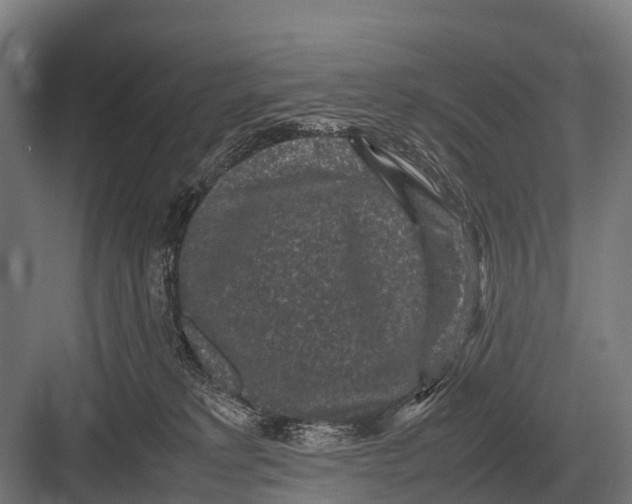 X0000082740229200702161941