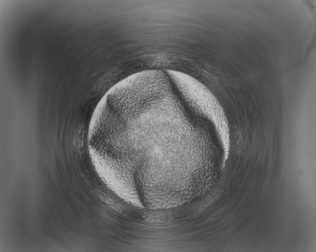 X0000082740230200702161941