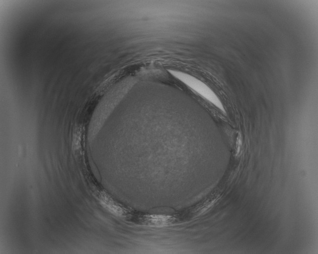 X0000082740233200702161941