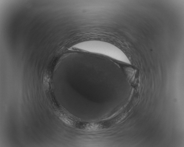 X0000082740235200702161941