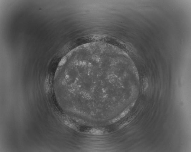 X0000082740236200702161941