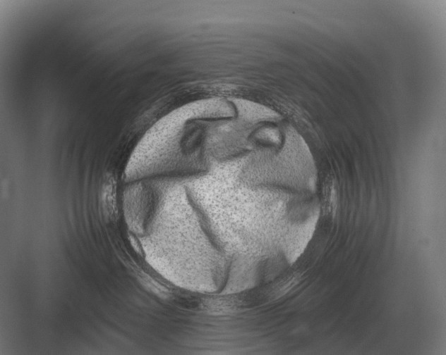 X0000082740238200702161941