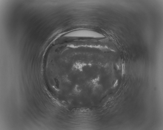 X0000082740243200702161940