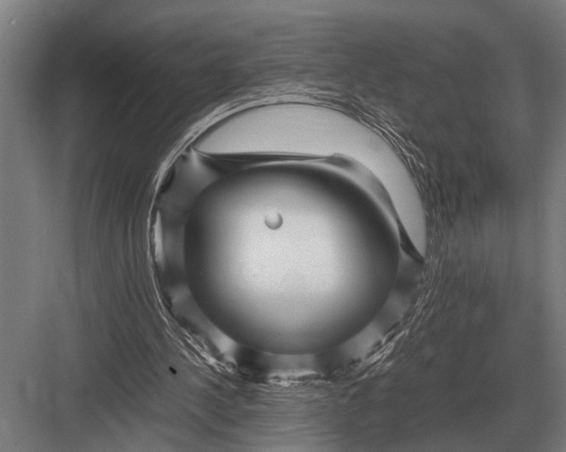 X0000082740244200702161940