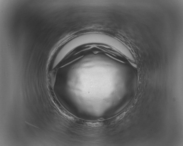 X0000082740245200702161940