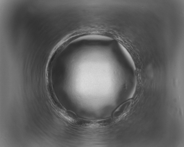 X0000082740246200702161940