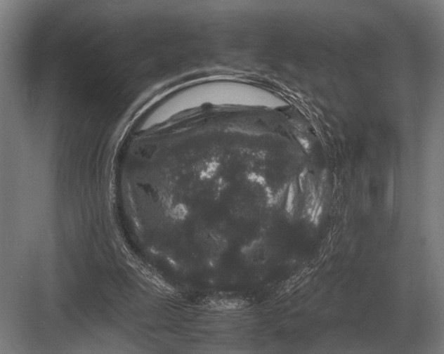 X0000082740247200702161940