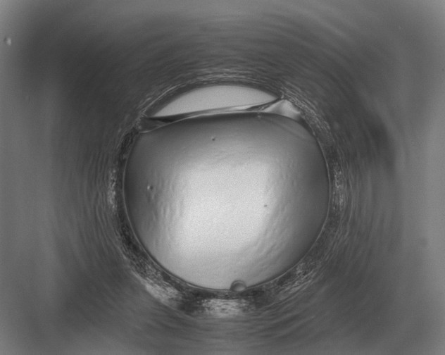 X0000082740255200702161940