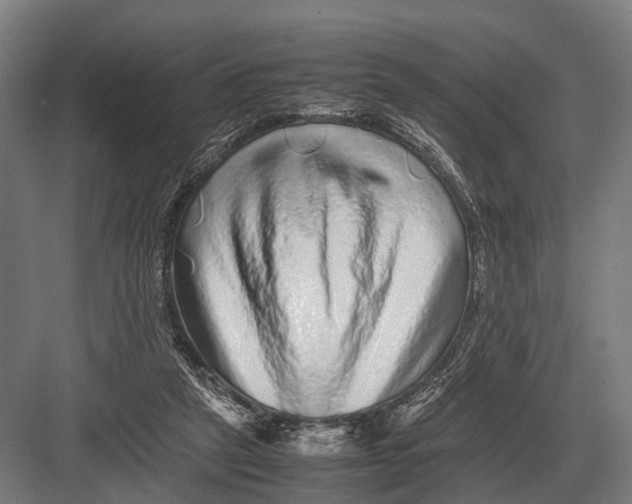 X0000082740257200702161940