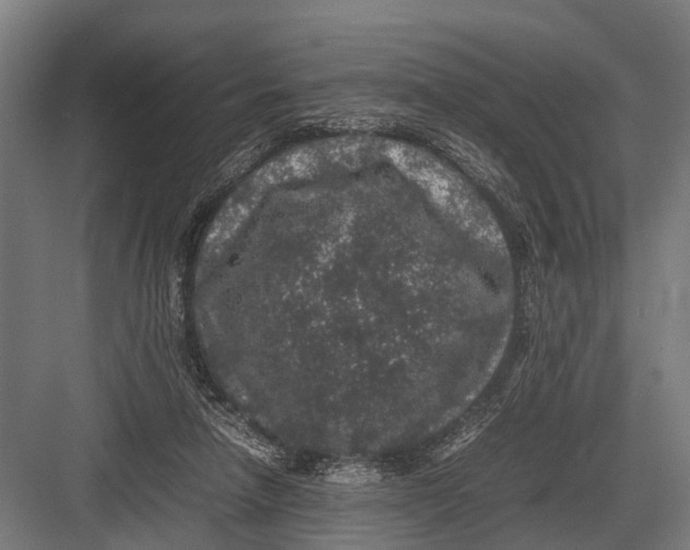 X0000082740258200702161940