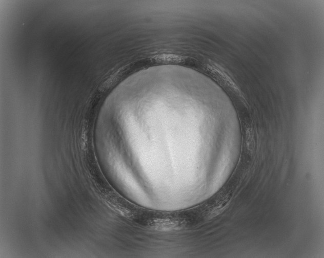 X0000082740259200702161940