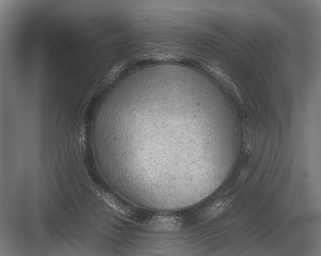 X0000082740260200702161940