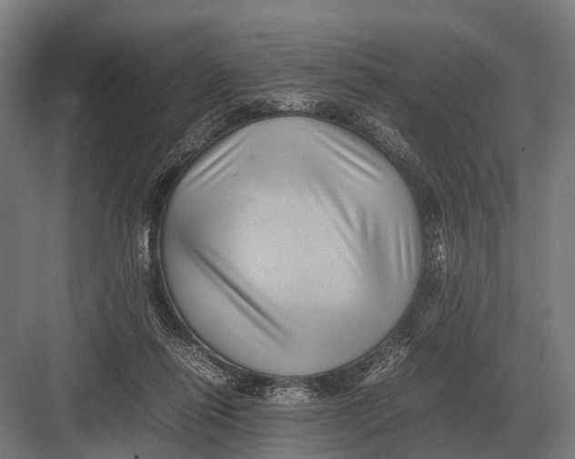 X0000082740262200702161940