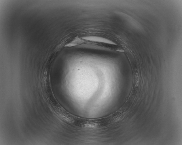 X0000082740263200702161940