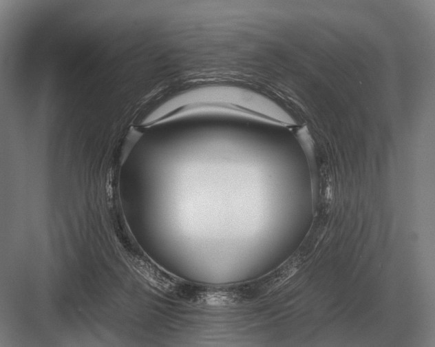 X0000082740264200702161940