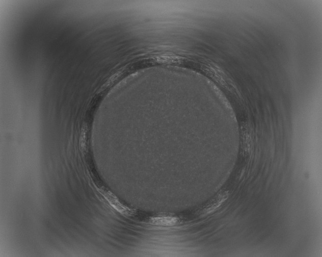 X0000082740266200702161941