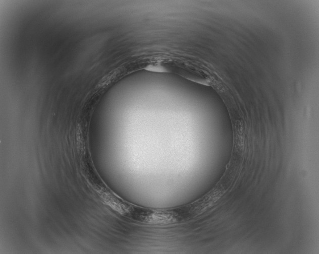 X0000082740270200702161941