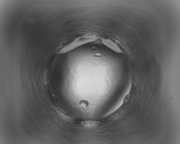 X0000082740273200702161941