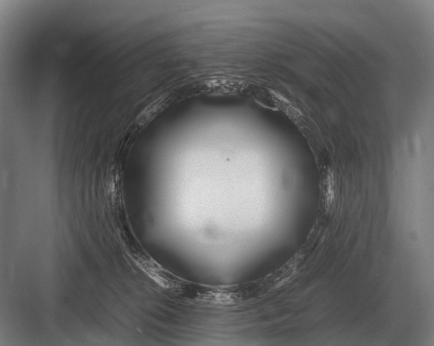 X0000082740276200702161941