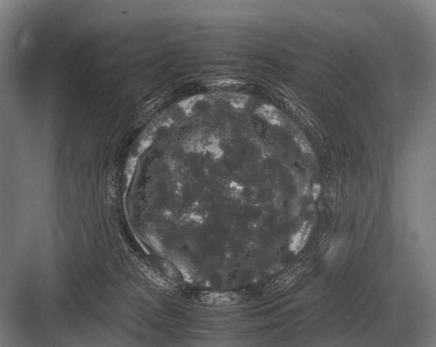 X0000082740277200702161941