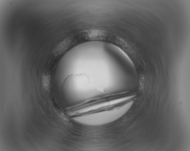 X0000082740278200702161941