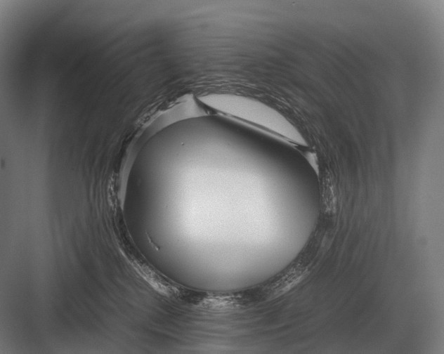 X0000082740280200702161941