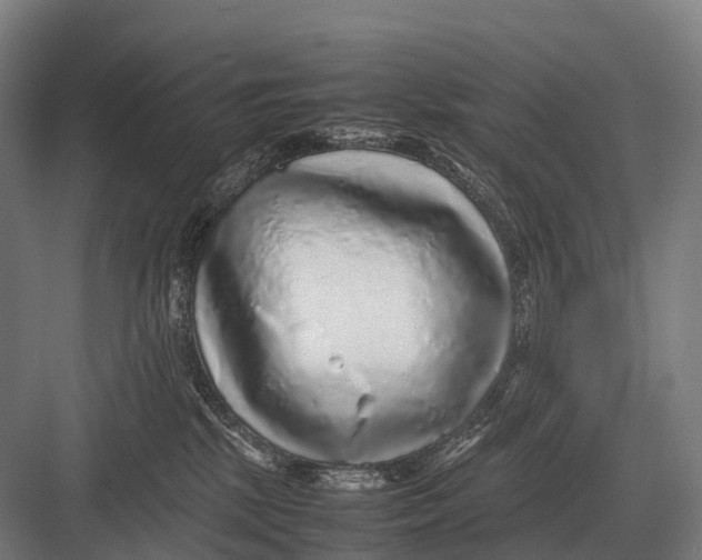 X0000082740281200702161941