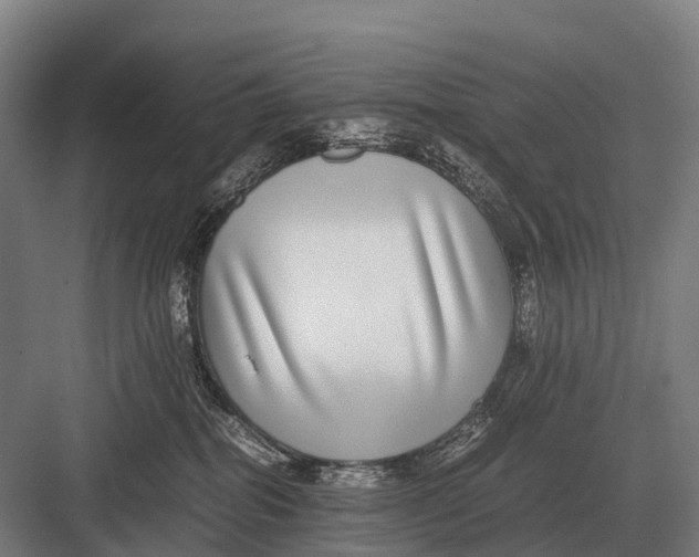 X0000082740282200702161941