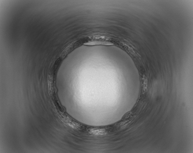 X0000082740283200702161941