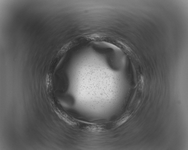 X0000082740284200702161941