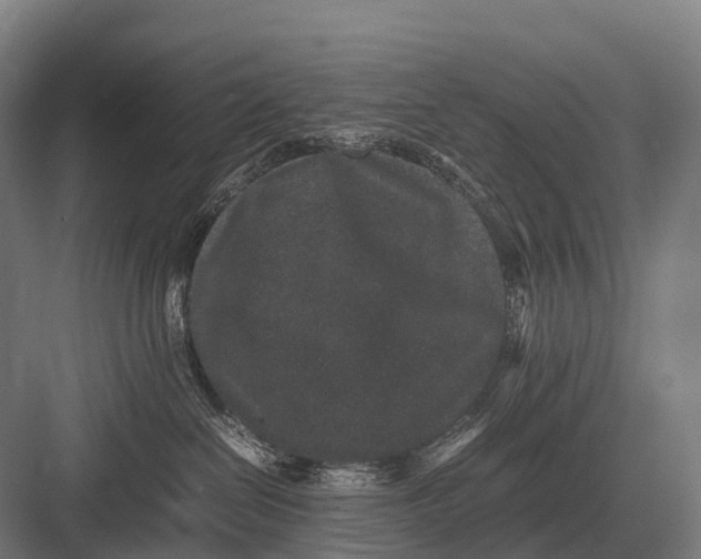 X0000082740286200702161941