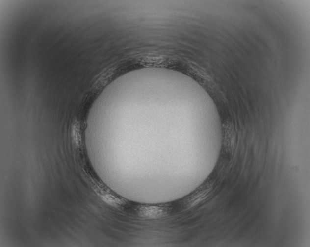 X0000082740287200702161941