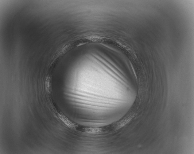 X0000082740288200702161941