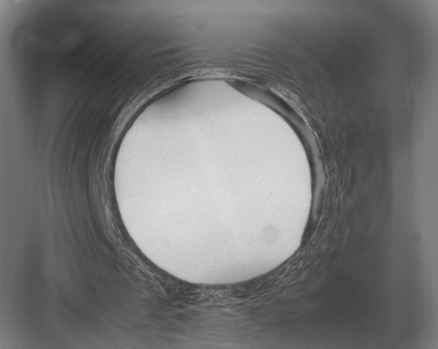 X0000082740289200702161940