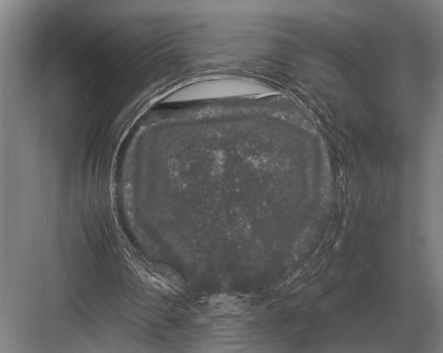 X0000082740290200702161940