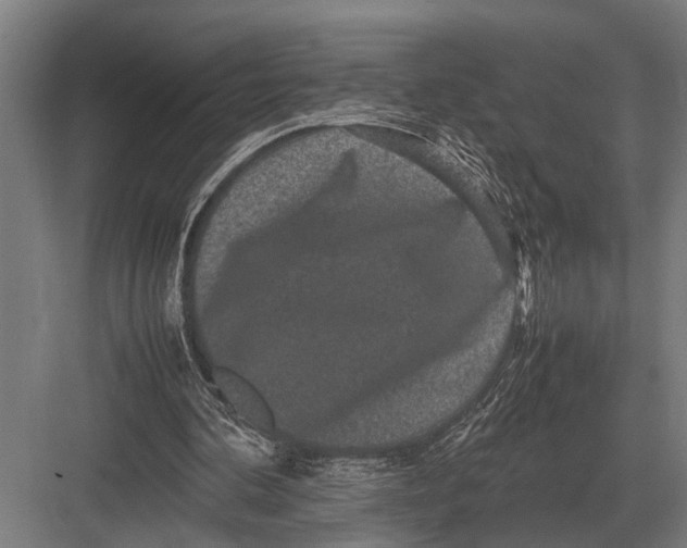 X0000082740292200702161940