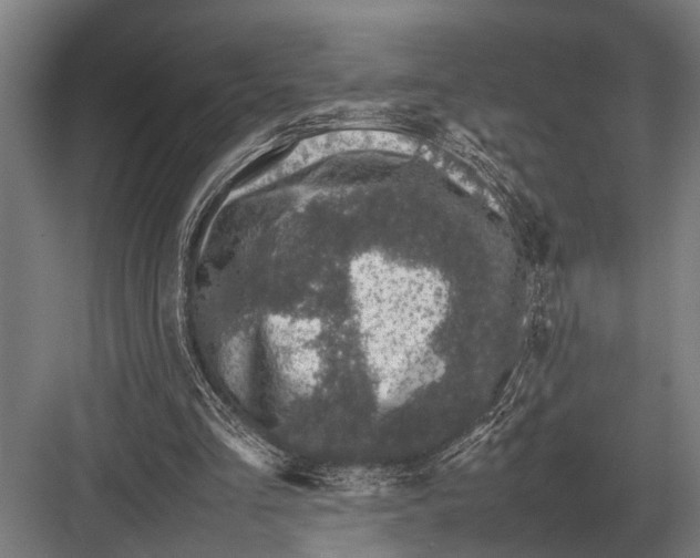 X0000082740293200702161940