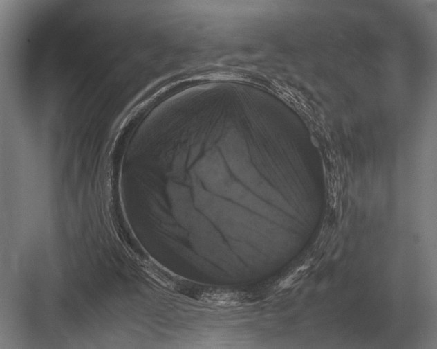 X0000082740295200702161940