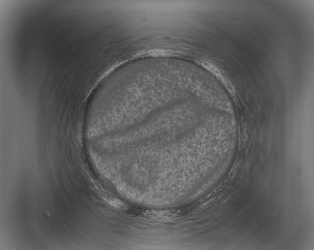 X0000082740297200702161940