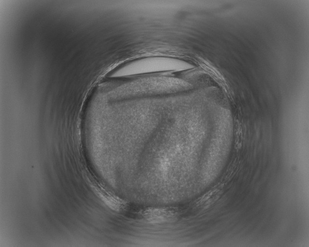 X0000082740298200702161940