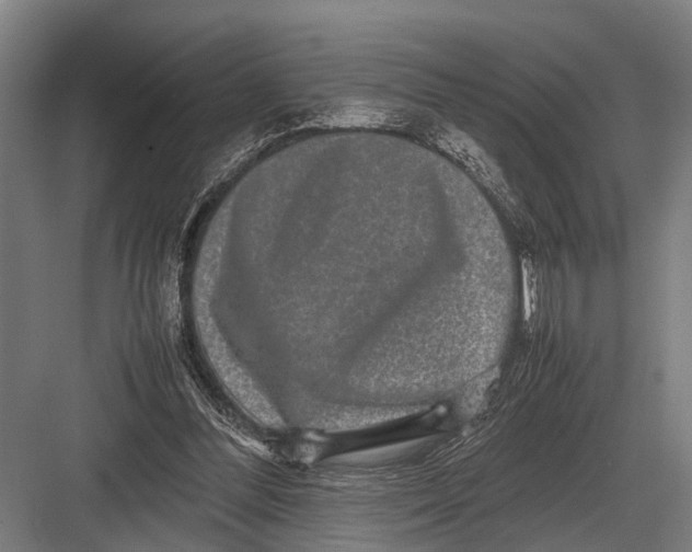 X0000082740300200702161940