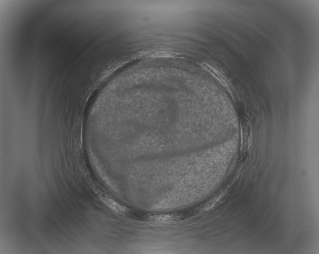 X0000082740301200702161940