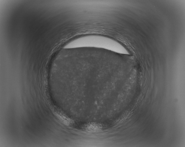 X0000082740303200702161940