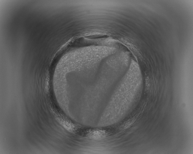 X0000082740304200702161940