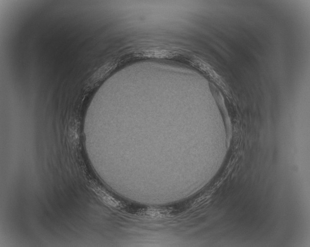 X0000082740305200702161940