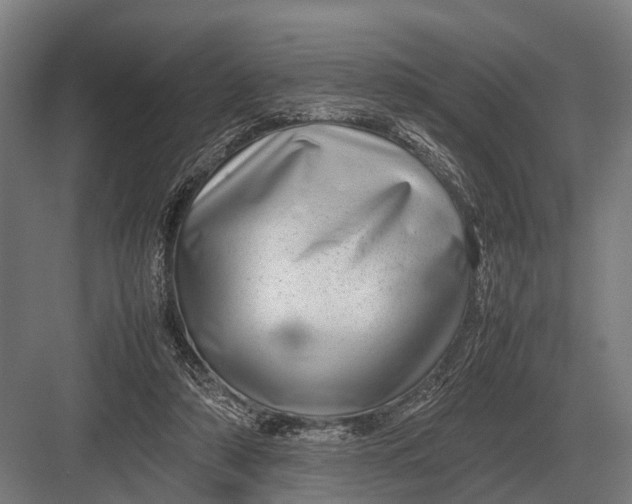 X0000082740306200702161940